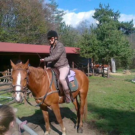 Ξενοδοχείο Rahoff Μπάνσκο