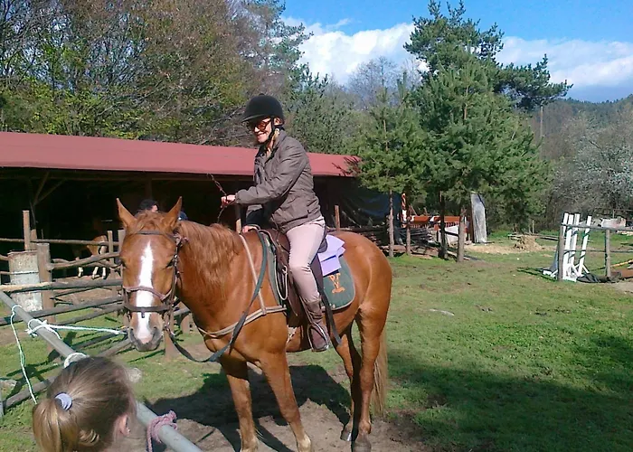 酒店 拉霍夫酒店 班斯科