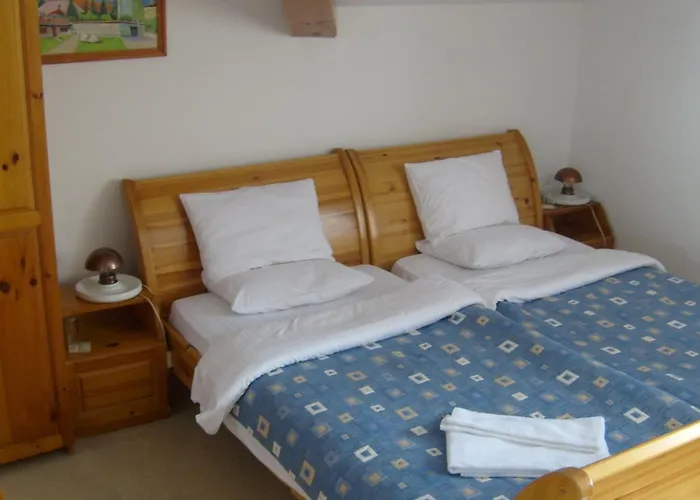 酒店 拉霍夫酒店 3*